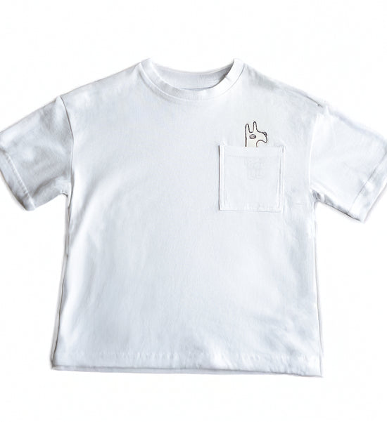 LLAMA T-shirt